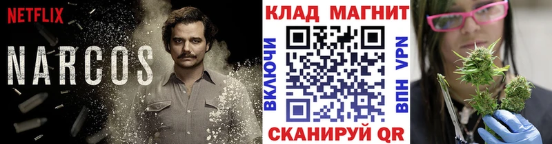 Где купить наркотики Светогорск Кокаин  МЕФ  СК  МАРИХУАНА  Гашиш 