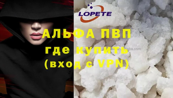 соль ск Белокуриха