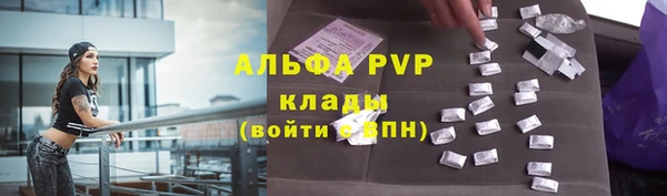 амф Беломорск