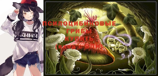 сатива Белоозёрский
