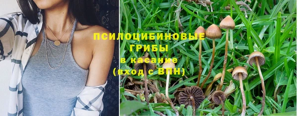 соль ск Белокуриха