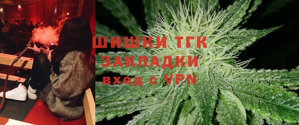 соль ск Белокуриха
