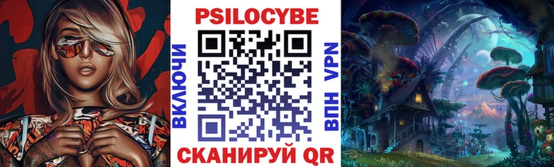 Псилоцибиновые грибы Psilocybine cubensis  Светогорск 